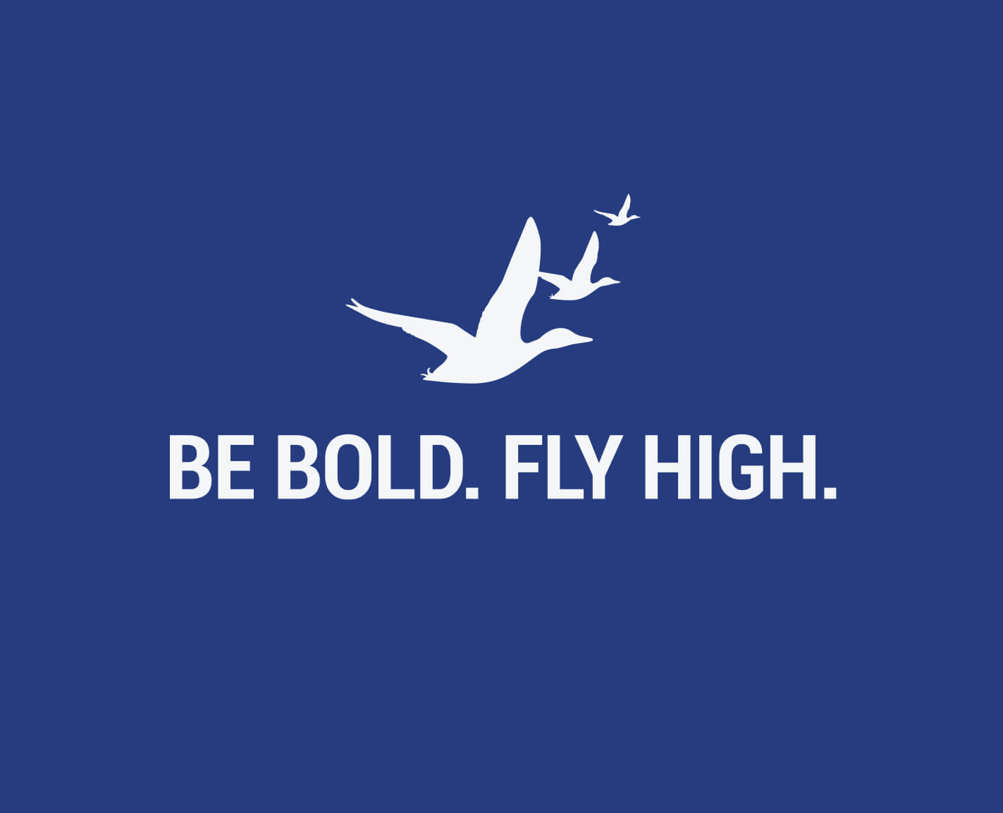 One of many Be Bold. Fly High. logo lockups. Copyright 2024 College of the Mainland.